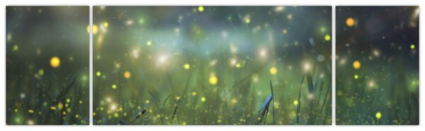 Obraz - Kouzelná noc (170x50 cm)