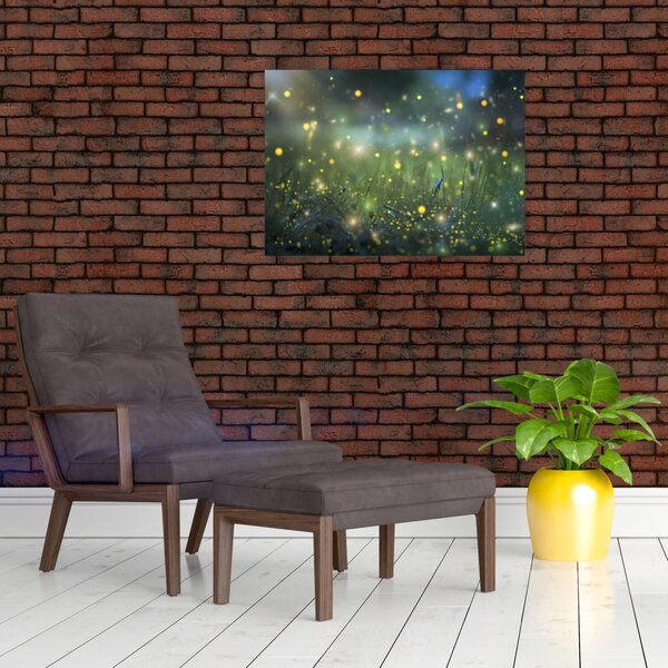 Obraz - Kouzelná noc (70x50 cm)