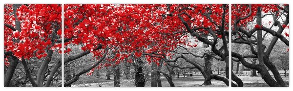 Obraz - Červené stromy, Central Park, New York (170x50 cm)