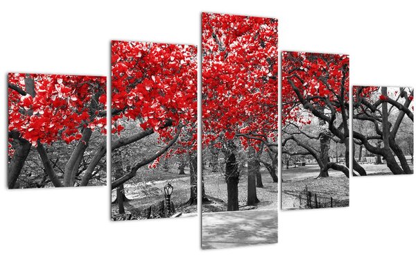 Obraz - Červené stromy, Central Park, New York (125x70 cm)