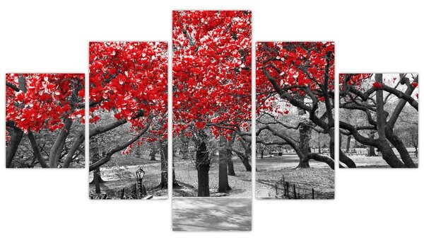 Obraz - Červené stromy, Central Park, New York (125x70 cm)