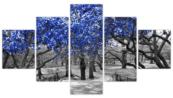 Obraz - Modré stromy, Central Park, New York (125x70 cm)