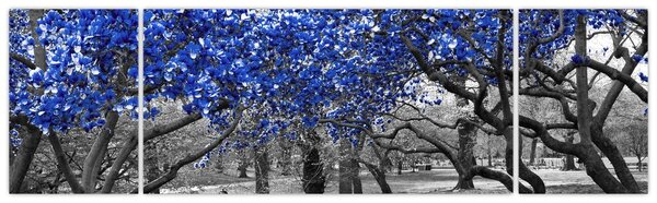 Obraz - Modré stromy, Central Park, New York (170x50 cm)