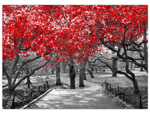 Obraz - Červené stromy, Central Park, New York (70x50 cm)