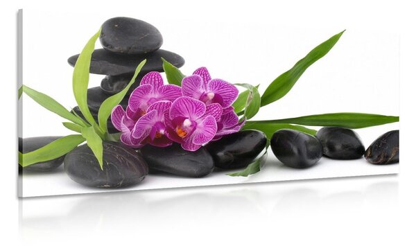 Obraz fialová orchidej v Zen zátiší