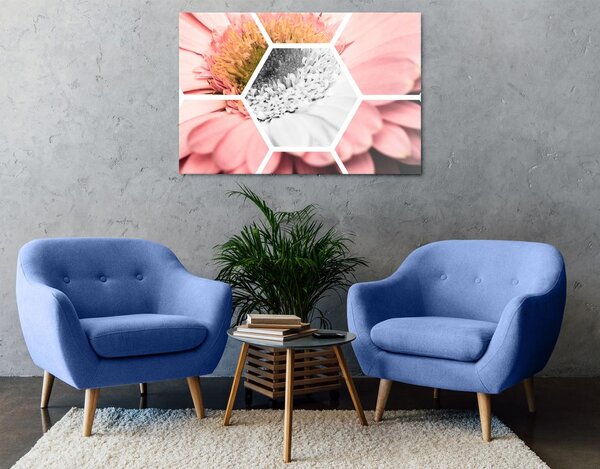 Obraz gerbera v šestiúhelníku
