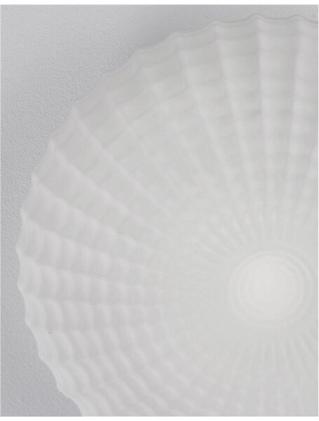 Nova Luce Stropní svítidlo CLAM bílé sklo bílá kov E27 2x12W IP44