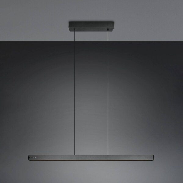 Trio Lighting Závěsné LED světlo Donegal, černé, délka 150 cm,, stmívatelný, Černá, Obývací pokoj / jídelna, kov, Moderní