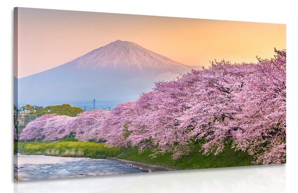 Obraz japonska sopka Fuji