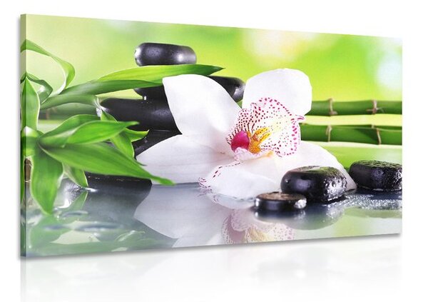 Obraz japonská orchidej