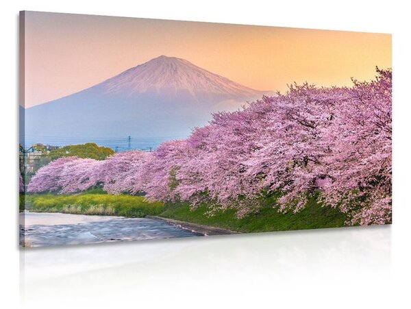 Obraz japonska sopka Fuji