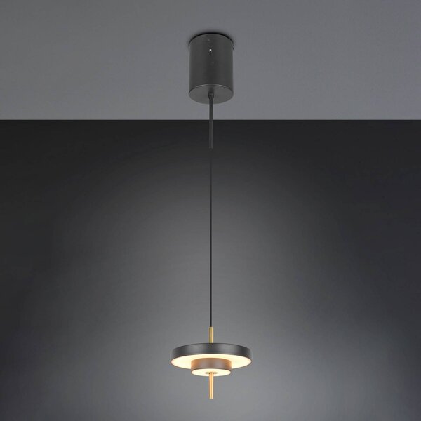 Trio Lighting Závěsné světlo LED Keaton černá/zlatá, Ø 20 cm kov, stmívatelný, Černá, Obývací pokoj / jídelna, kov