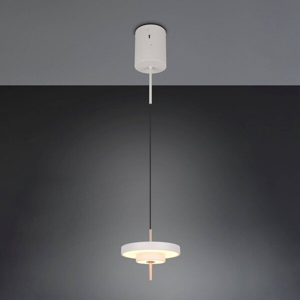 Trio Lighting Závěsné LED světlo Keaton, světle šedé, Ø 20 cm, kov,, stmívatelný, Hliník / šedá / zinek, Obývací pokoj / jídelna, kov