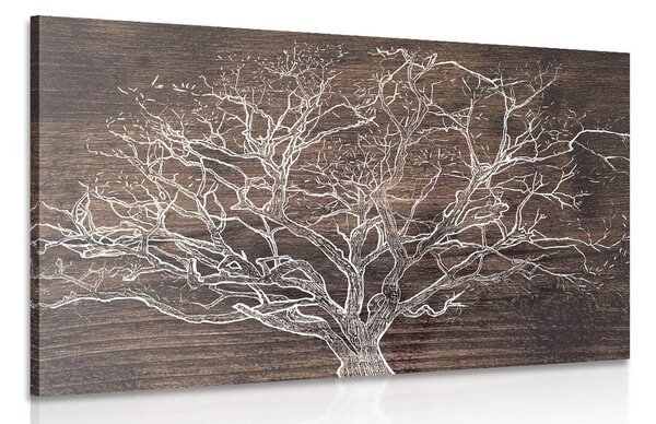 Obraz koruna stromu na dřevěném podkladu Varianta: 90x60