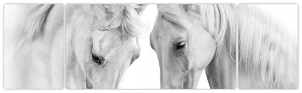 Obraz bílých koňů (170x50 cm)
