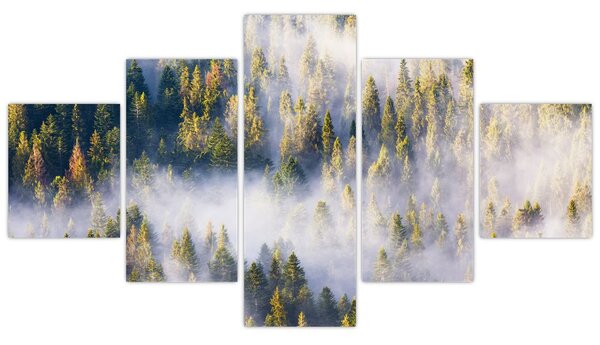 Obraz stromů v mlze (125x70 cm)