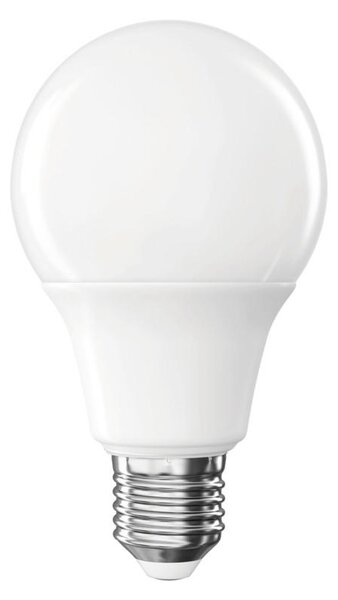 LED ŽÁROVKA E27 - Žárovky