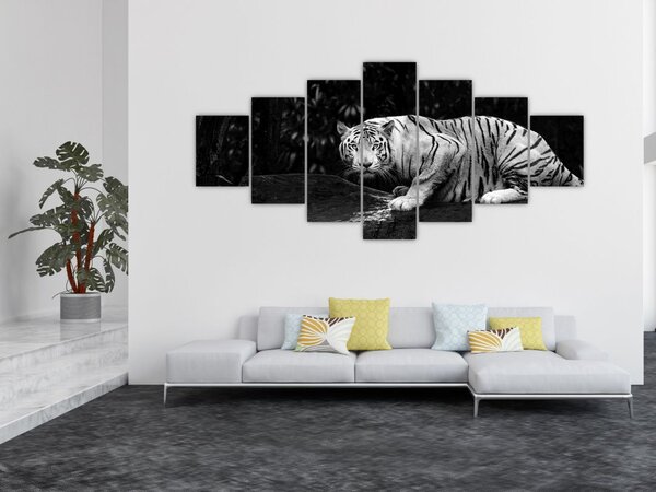 Obraz - Tygr albín, černobílý (210x100 cm)