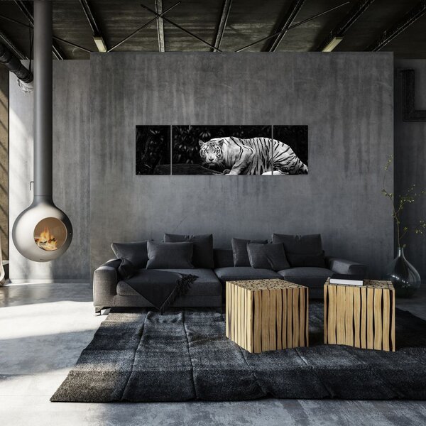 Obraz - Tygr albín, černobílý (170x50 cm)