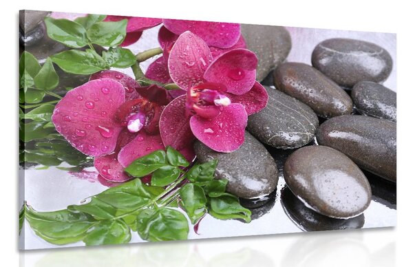 Obraz kvetoucí orchidej a wellness kameny