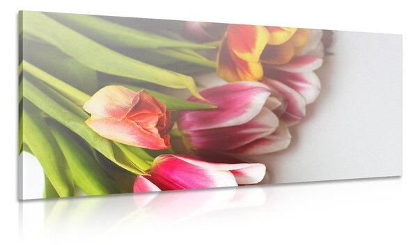Obraz kytice barevných tulipánů