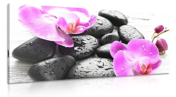 Obraz kouzelná souhra kamenů a orchideje