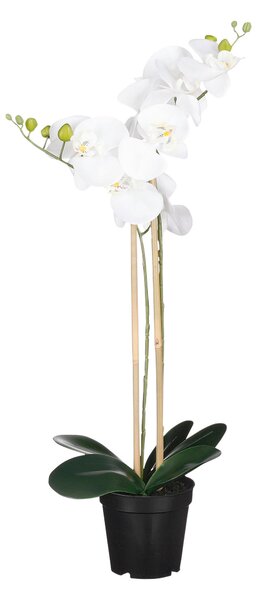 ORCHIDEJ PHALAENOPSIS - Umělé květiny