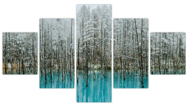 Obraz - Tyrkysový rybník, Biei, Japonsko (125x70 cm)