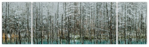 Obraz - Tyrkysový rybník, Biei, Japonsko (170x50 cm)