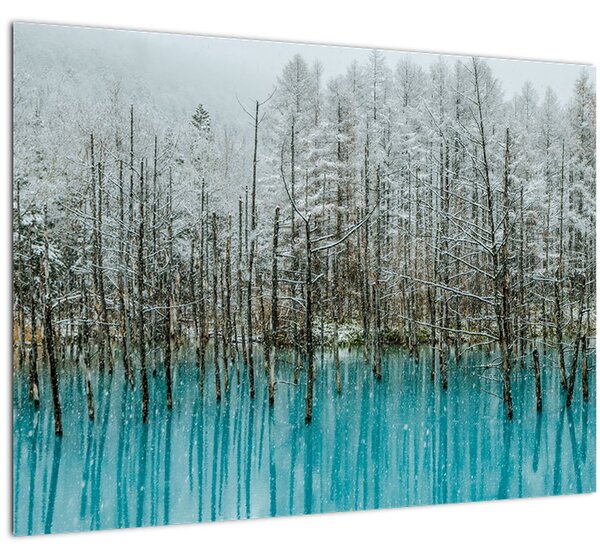 Skleněný obraz - Tyrkysový rybník, Biei, Japonsko (70x50 cm)