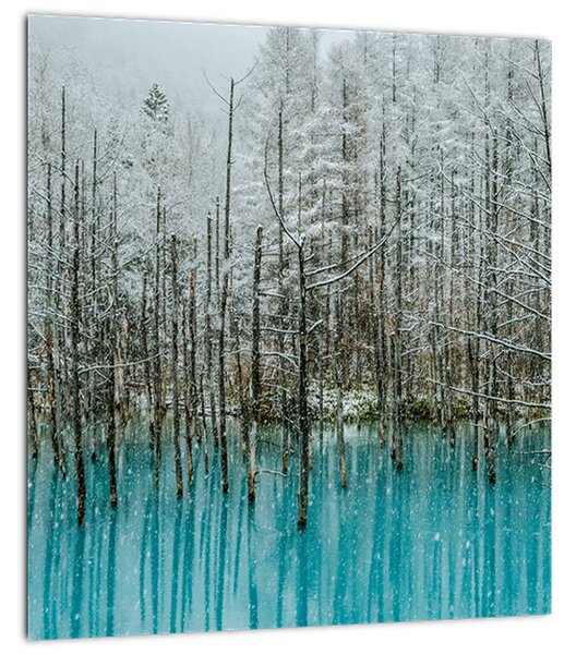 Obraz - Tyrkysový rybník, Biei, Japonsko (30x30 cm)