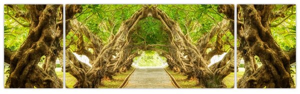 Obraz - Živý tunel z plumérií (170x50 cm)