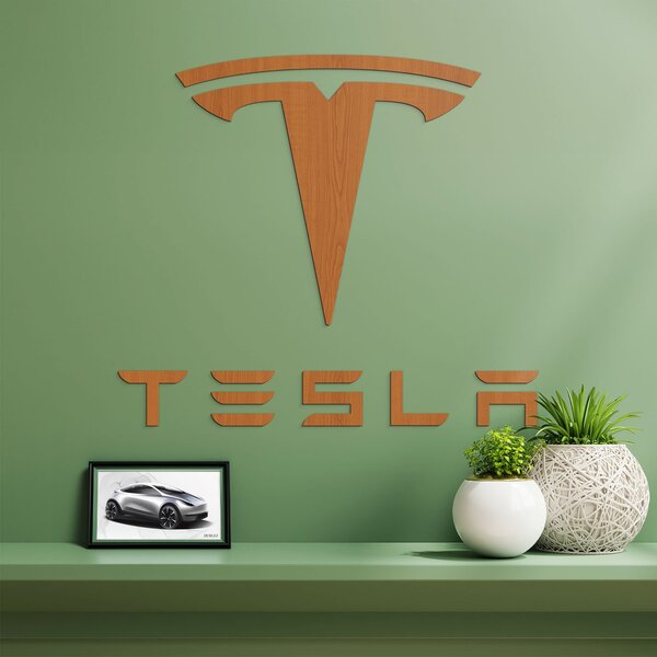 DUBLEZ | Dřevěný znak auta na zeď - Tesla | Obraz