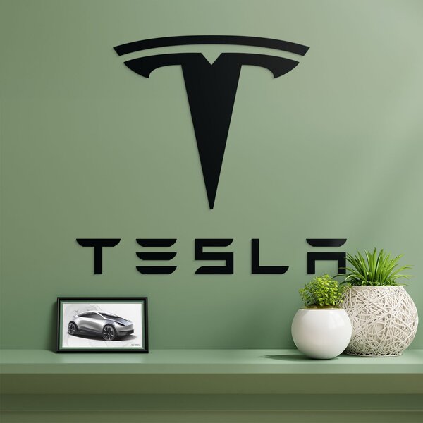 DUBLEZ | Dřevěný znak auta na zeď - Tesla | Obraz