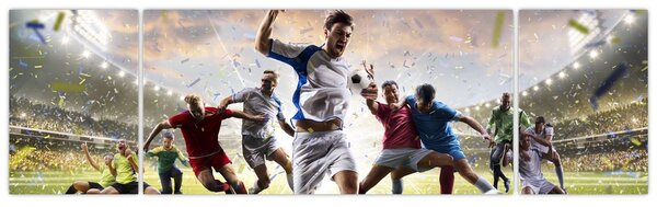 Obraz - Fotbal (170x50 cm)