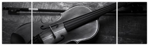 Obraz - Viola (170x50 cm)