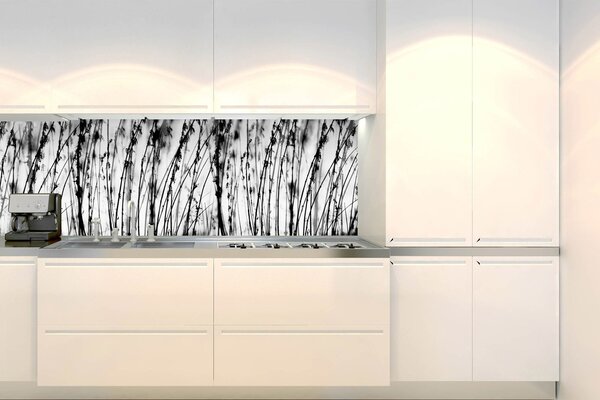 DIMEX | Fototapeta do kuchyně Černobílá tráva KI-180-137 | 180 x 60 cm | černobílá
