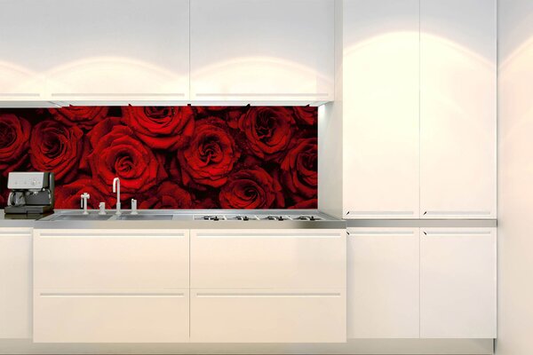 DIMEX | Fototapeta do kuchyně Rudé růže KI-180-132 | 180 x 60 cm | červená