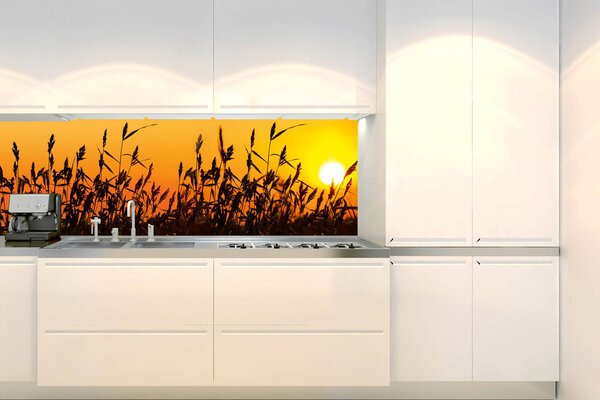 DIMEX | Fototapeta do kuchyně Rákos KI-180-128 | 180 x 60 cm | černá, žlutá, oranžová