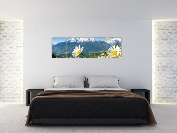Obraz - Jaro v Alpách (170x50 cm)