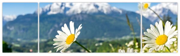 Obraz - Jaro v Alpách (170x50 cm)