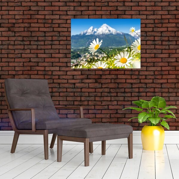 Obraz - Jaro v Alpách (70x50 cm)