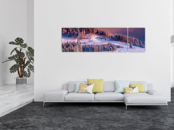Obraz zimní krajiny (170x50 cm)