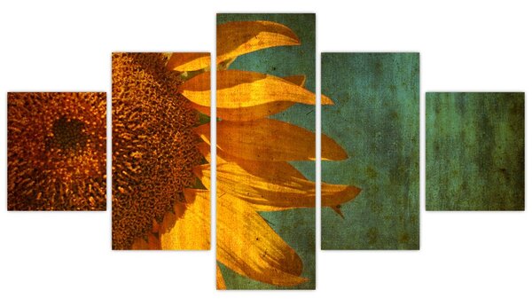 Obraz - Slunečnice (125x70 cm)