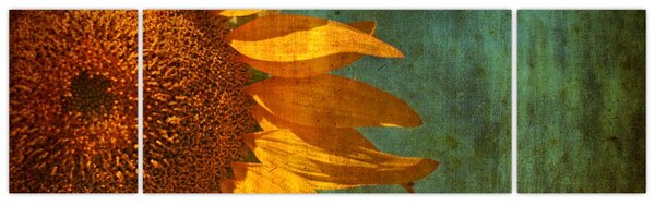 Obraz - Slunečnice (170x50 cm)