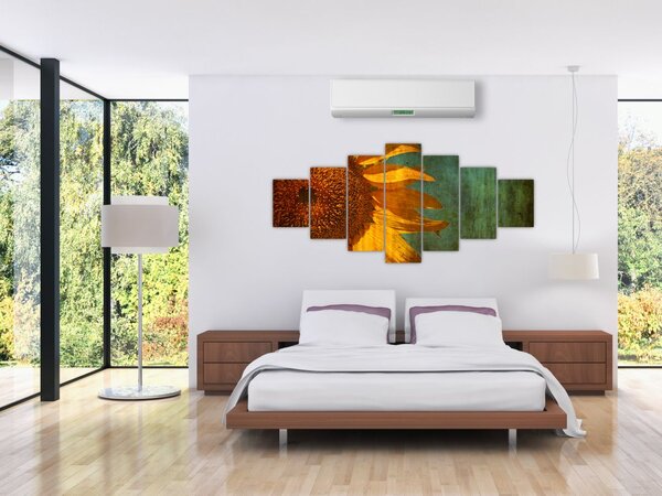 Obraz - Slunečnice (210x100 cm)