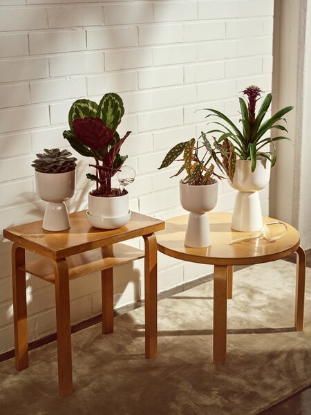 Iittala Květináč Nappula S, s podmiskou / bílý