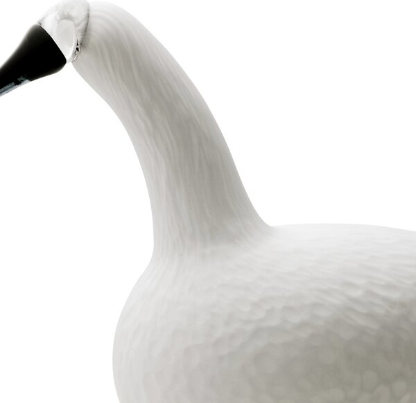 Iittala Ptáček Toikka Whooper Swan