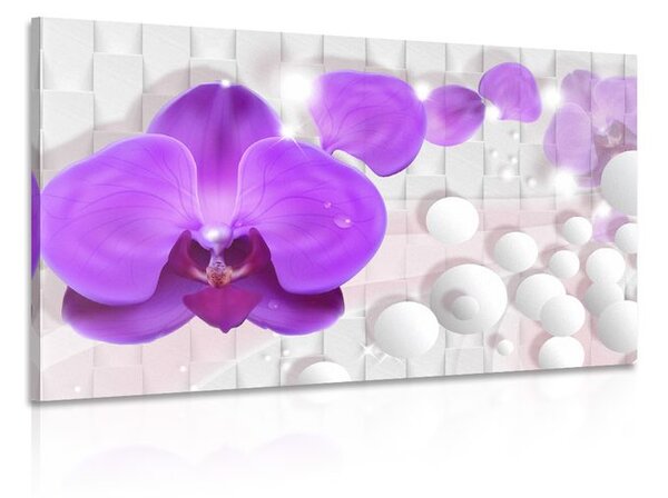 Obraz orchidej na abstraktním pozadí