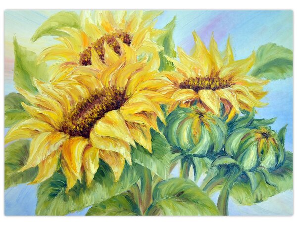 Obraz rozkvetlých slunečnic (70x50 cm)